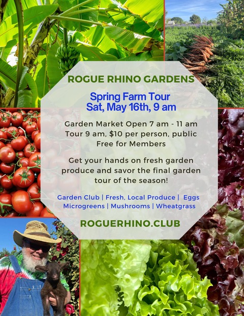 workshop flyer